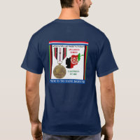 3 CAMPAIGN STARS AFGHANISTAN WAR VETERAN