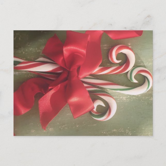 3 Candy Canes Holiday Postcard (Front)