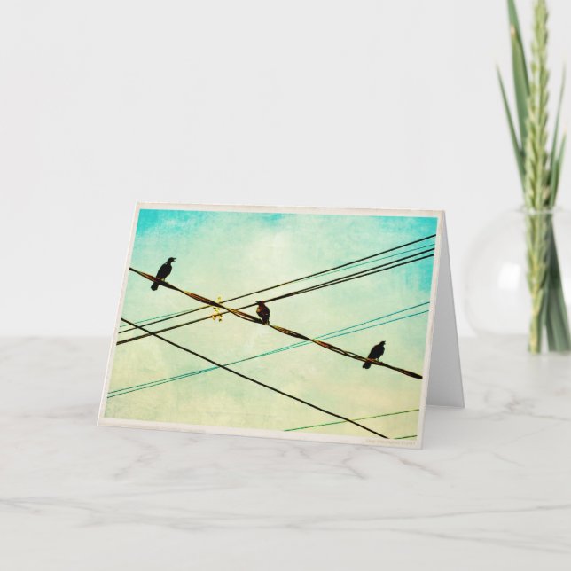 3 Cawing Crows on a Wire Blank Greeting Card (Front)