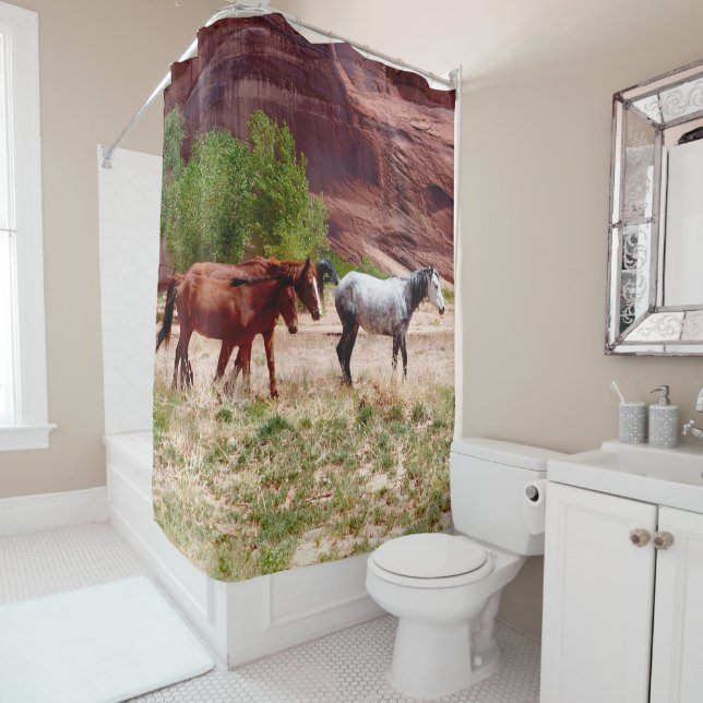 3 Chevaux en Canyon de Chelly Douche rideau (En situation)