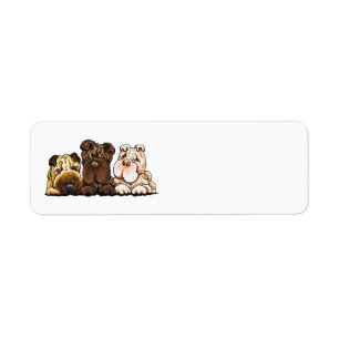 3 Chinois Shar Pei