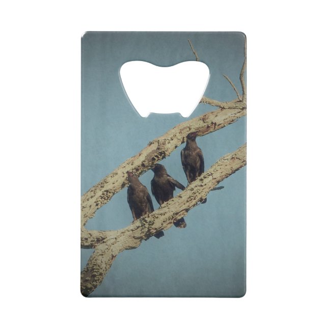 3 Crows Credit Card Bottle Opener (Front)