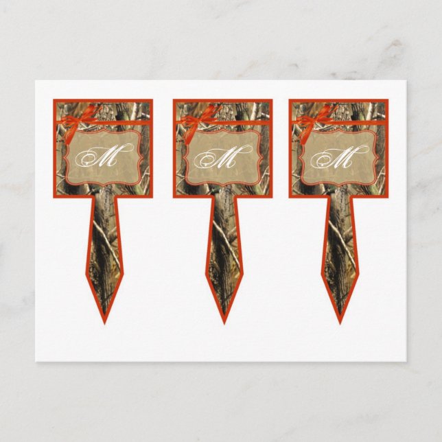 3 Cup Cake Picks Hunters Camoflouge Camo Orange Postcard (Front)