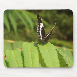 3-D Butterfly Mouse Pad