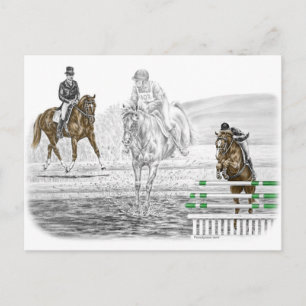 3-Day Eventing Horses Combined Training Postcard