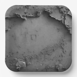 3 Dimensional Grey Rustic Design Paper Plate