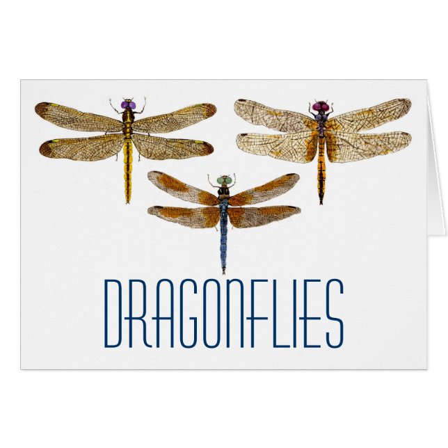 3 Dragonflies (Front Horizontal)