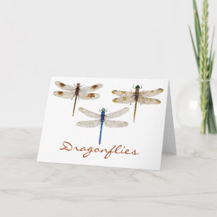 3 Dragonflies Card