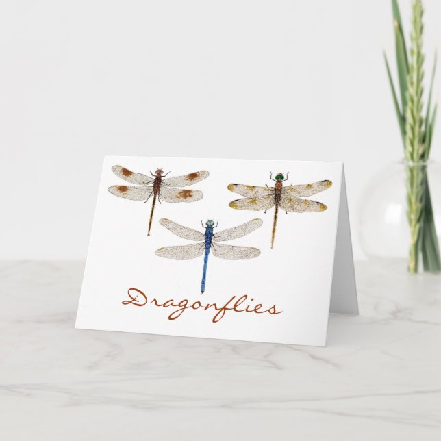 3 Dragonflies Card (Front)