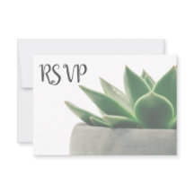 3 Entree Choice Moderne Vert Succulent RSVP