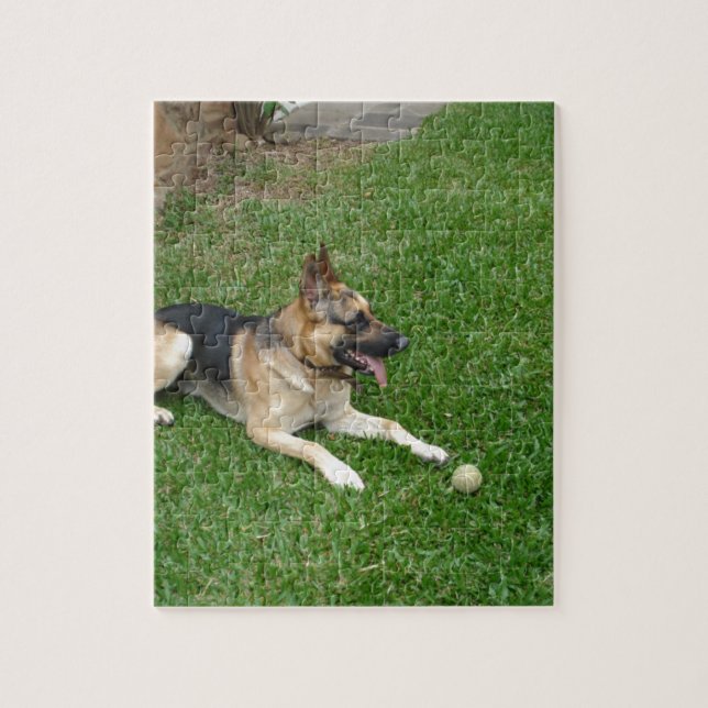 3 german-shepherd-laying.png jigsaw puzzle (Vertical)