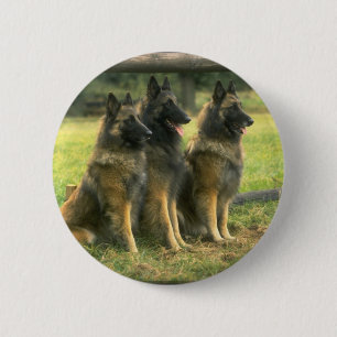 3-German Shepherds 2 Inch Round Button