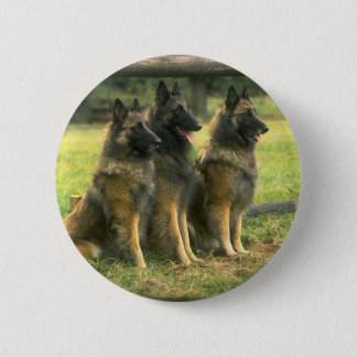 3-German Shepherds 2 Inch Round Button