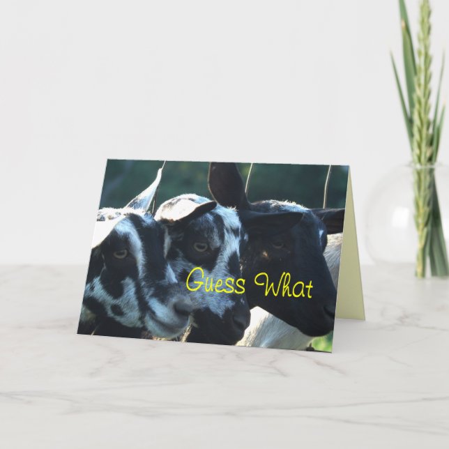 3 Goat Kids- customize any occasion Card (Front)