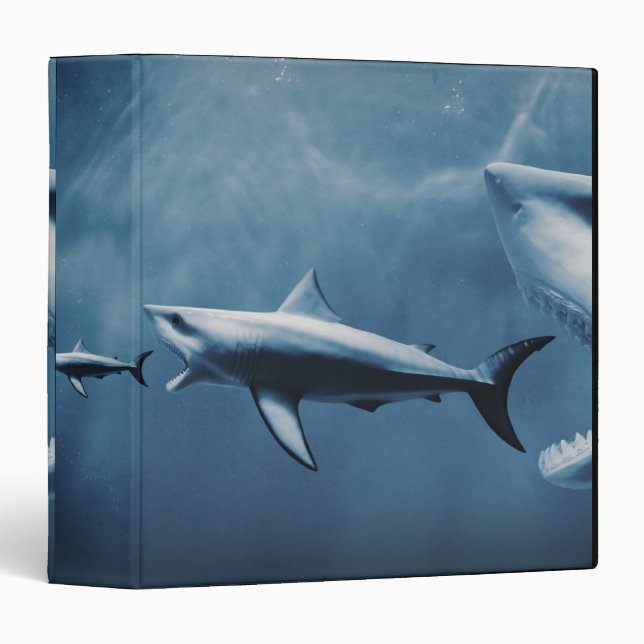 3 Great white sharks (Carcharodon carcharias) Binder (Front/Spine)