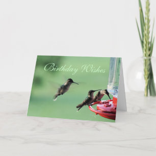 3 Hummingbirds at feeder- customize any occasion Card