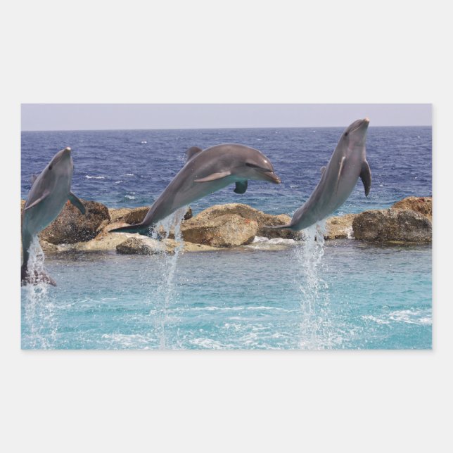 3 jumping dolphins sticker (Front)