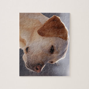3 Labrador_Retriever.png Jigsaw Puzzle