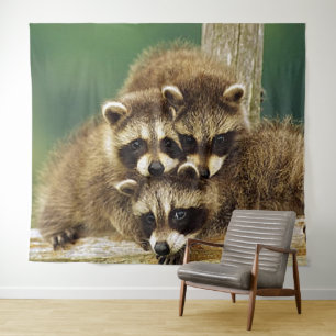 3 LITTLE COONS TAPESTRY