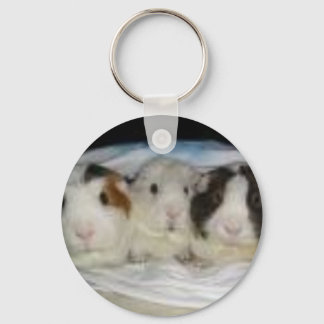 3 little pigs keychain