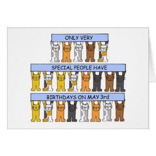 3 mai Cartoon Cats