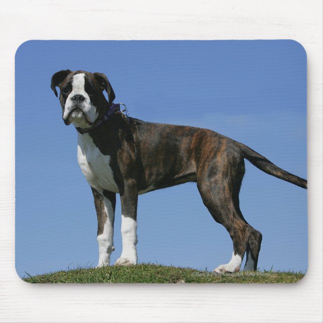 3 Month Old Boxer Puppy Mouse Pad (Front)