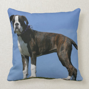 3 Month Old Boxer Puppy Throw Pillow