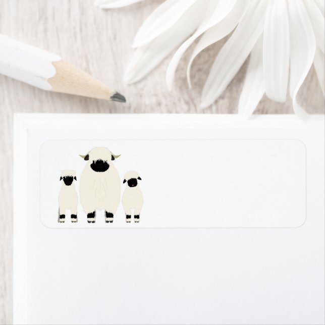 3 Moutons Noirs Valais dans une rangée (En situation)