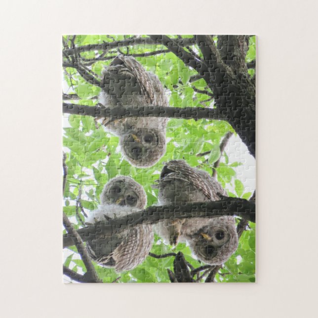 3 Owlets Jigsaw Puzzle (Vertical)