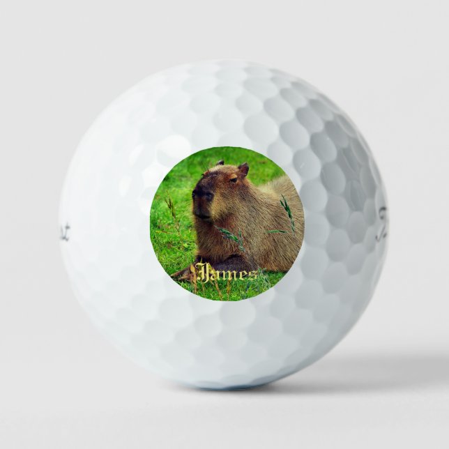 3 Pack Fun Personalized Capybara Animal Golf Balls (Front)