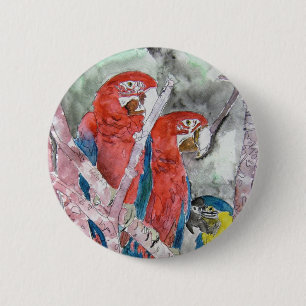 3 parrots bird animal wildlife zoo watercolor art 2 inch round button