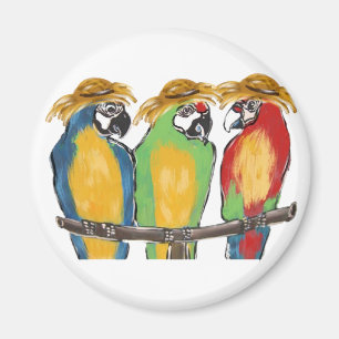 3 Parrots Magnet