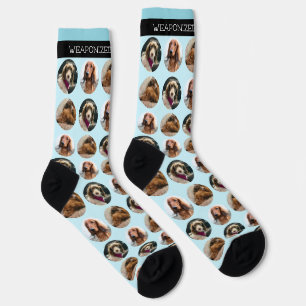 3 Photo Dachshund Crew Socks