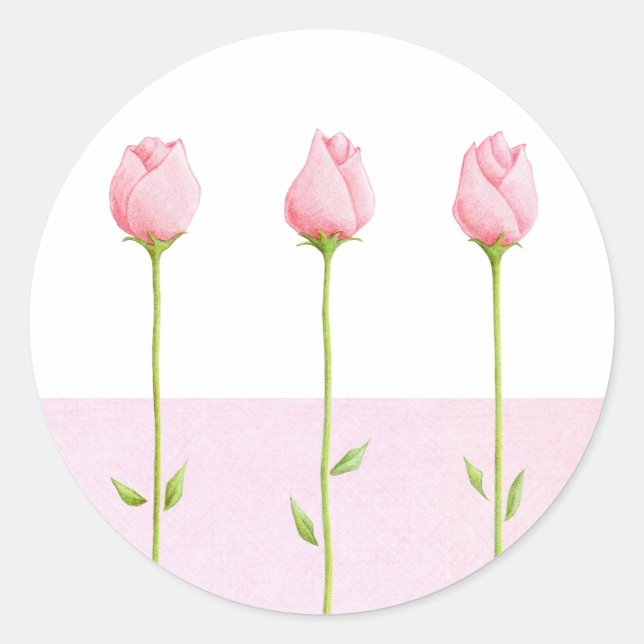 3 Pink Rosebuds Sticker (Front)
