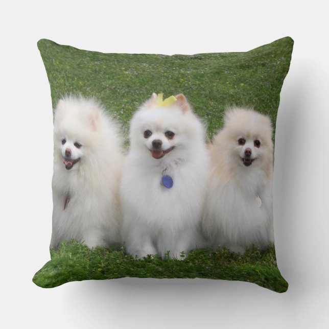 3 Pomeranians Sitting Throw Pillow (Front)
