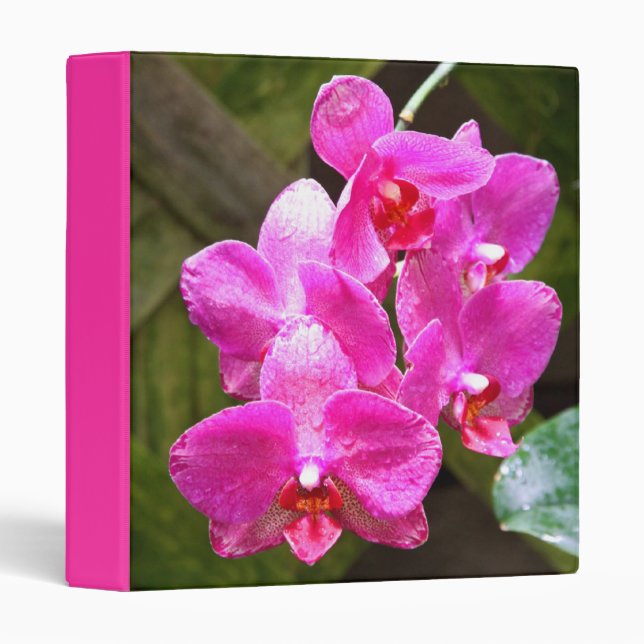 3-Ring Binder - Orchid (Front/Spine)