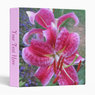 3 Ring Binder--Stargazers-2 Binder