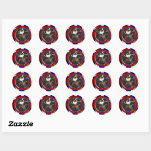 3 Ring Circus - Acrobat - Classic Round Sticker