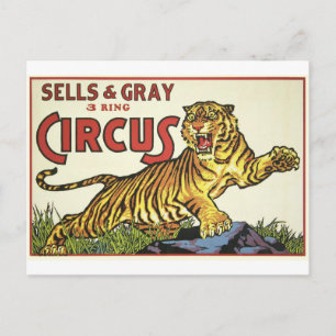 3 Ring Circus - circa 1930 Postcard