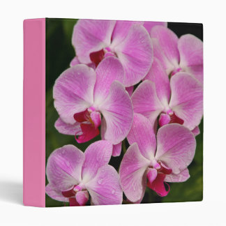 3-Ring classeur - orchidée