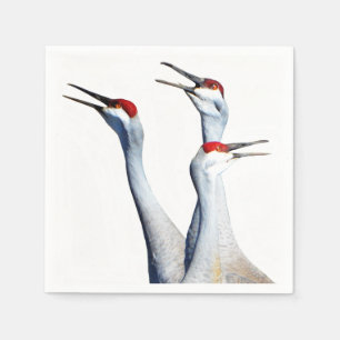3 Sandhill Cranes Photo Paper Napkins