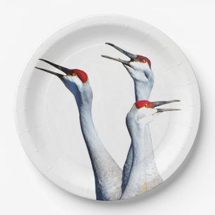 3 Sandhill Cranes Photo Paper Plates
