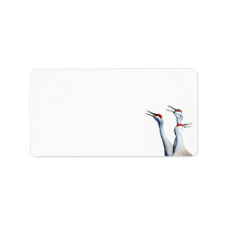 3 Sandhill Cranes Photo Stationery Address Labels