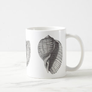 3 Sea Shells Coffee Mug
