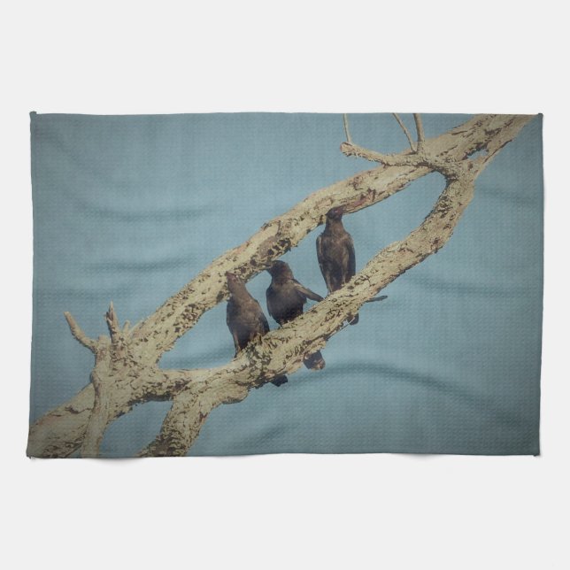 3 serviette de cuisine Crows (Horizontal)