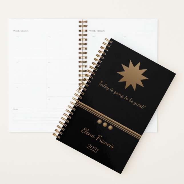 3 Sphere Brushed Gold Black Professional Business Planner (Display)