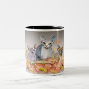 3 sphynx kittens Mug