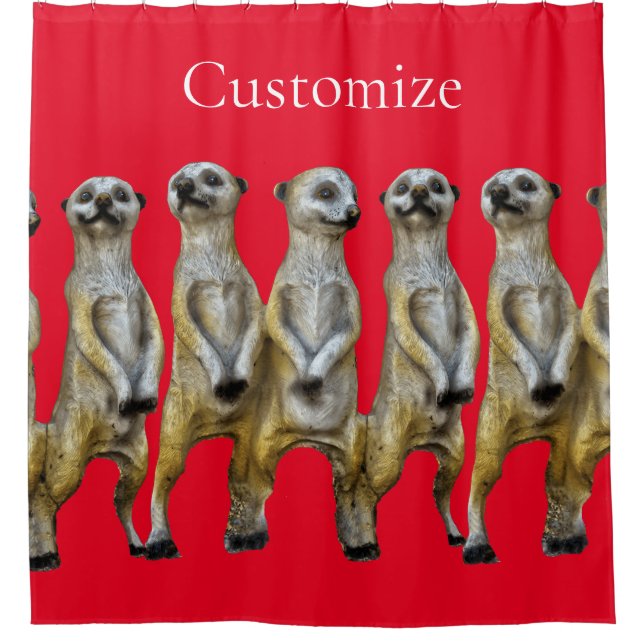 3 Standing Meerkats Thunder_Cove  (Front)