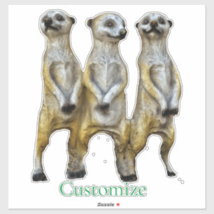 3 Standing Meerkats Thunder_Cove