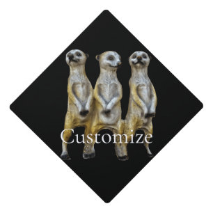 3 Standing Meerkats Thunder_Cove Graduation Cap Topper
